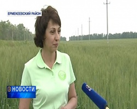 В Башкортостане одним из крестьянско-фермерских хозяйств руководит женщина