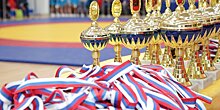 Спортсмены из Лефортова выиграли медали Открытого турнира по самбо