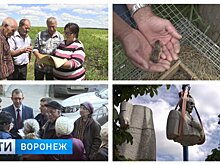 Итоги-2017: корреспонденты о мечтах, победах и поражениях простых воронежцев