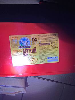 В Оренбуржье пресекли незаконный ввоз 5 тонн сыра с «Майбахом»