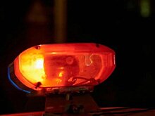 В Башкирии водитель иномарки столкнулся с тепловозом