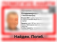 Пропавший в Нижнем Новгороде Алексей Мочалов найден мертвым