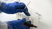 В России провели более 16,6 миллиона тестов на коронавирус
