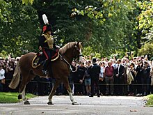 Королева-консорт Камилла будет ухаживать за лошадьми Елизаветы II – СМИ