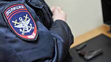 Новогоднее чудо: полицейские спасли брошенных на морозе щенков в Брянске