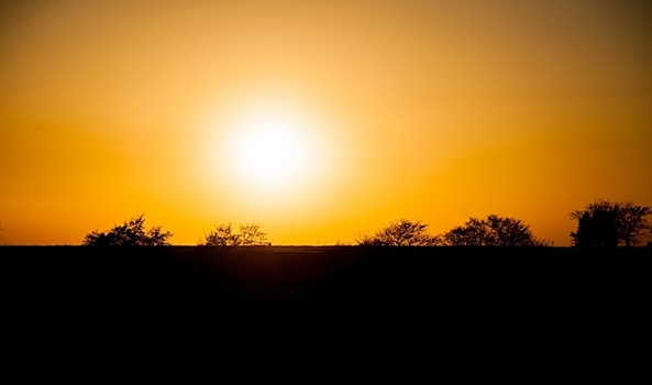 Волгоградцам грозят мощные магнитные бури из-за рекордных супервспышек на Солнце