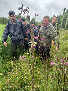 В Ярославской области полицейские разыскали заблудившегося в лесу пенсионера