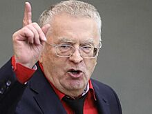 Жириновский предложил трем партиям оплатить неделю нерабочих дней