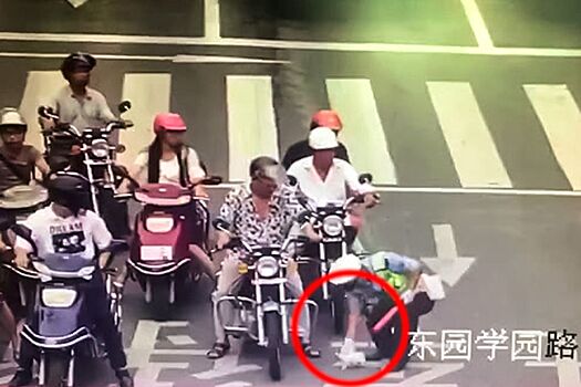 Самое милое видео с полицейским и котенком