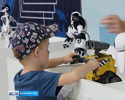 В Калининграде открылась интерактивная выставка «Роботы и космос»