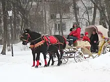 Самый светлый праздник. В Ясеневе, Конькове и других районах округа прошли рождественские гуляния