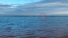 В озере на Ямале завелось «Лох-несское чудовище»