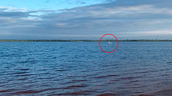 В озере на Ямале завелось «Лох-несское чудовище»