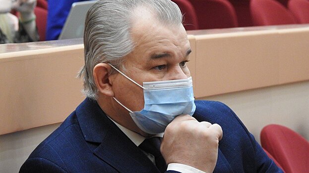 Саратовского бизнес-омбудсмена назвали «фиговым листочком на том самом месте у дракона»