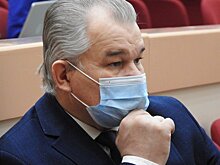 Саратовского бизнес-омбудсмена назвали «фиговым листочком на том самом месте у дракона»