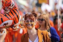 Во Владивостоке проведут праздник в честь амурского тигра