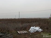 Курск. Артур Романенко ответил на претензии Контрольно-счётной палаты