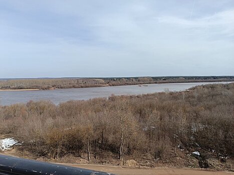 Аномальный апрель. На Орловщине ожидается +25