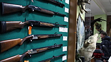 В России могут изменить закон «Об оружии»
