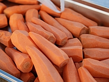 Волгоградская область отправила на экспорт в Казахстан 100 тонн моркови