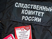 Нижегородский СК отказался давать информацию по выпавшему с балкона на улице Володарского человеку