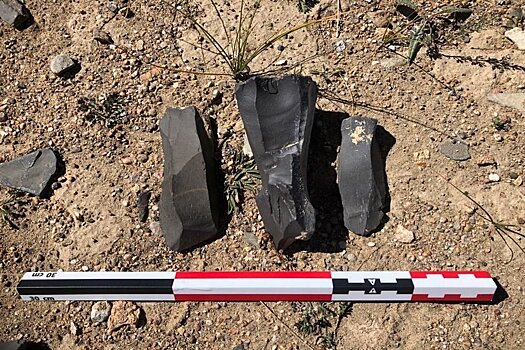 Сибирские археологи обнаружили в Тибете орудия эпохи палеолита