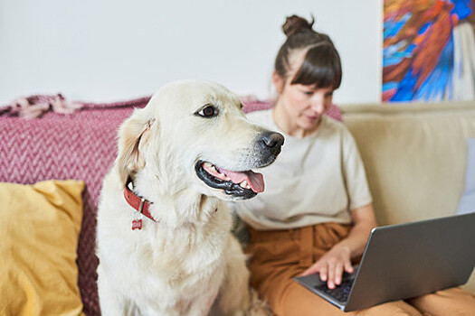 Минтруд призвал работодателей максимально широко использовать удаленный режим