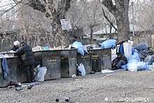 Кучи бытовых отходов в городах Челябинской области привлекли внимание прокуратуры