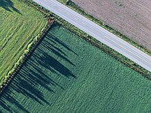 Ферму стоимостью 260 млн руб. построят под Вологдой