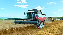 Росстат: в 2018 году в России собрали 112,8 млн тонн зерна