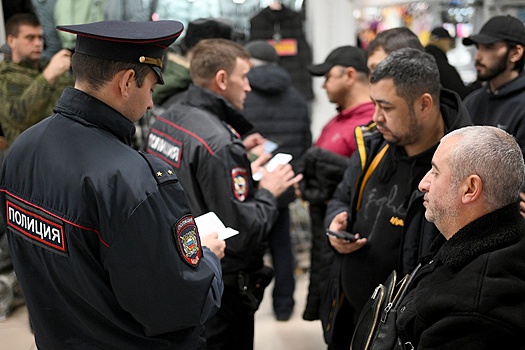 Полиция с 5 февраля получит право на выдворение нелегальных мигрантов без суда