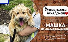 Собака Машка из «Назад в будущее» ищет дом