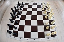 В Бибиреве открыта запись в бесплатные секции «Шахматы» и «Дартс»