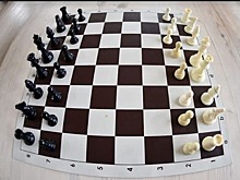 В Бибиреве открыта запись в бесплатные секции «Шахматы» и «Дартс»