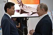 "Илюмжинов много говорит о Путине, это вредит ФИДЕ и России"