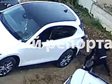 В Уфе на видео попало, как мужчины избили водителя из-за места на парковке