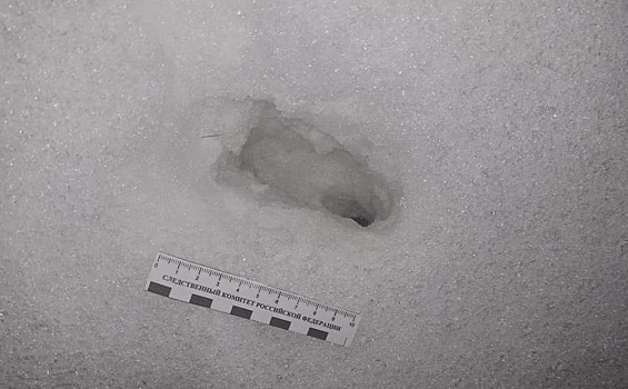 Водителя грузовика обстреляли на трассе под Калугой