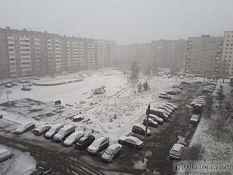 В Твери и области начался сильный снегопад