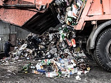 «Люди хотели ложиться на рельсы»: жители Урдомы сообщили, что мусорные составы из Москвы отменили