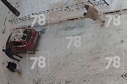 В Петербурге два соседа избили пожилую женщину после замечания о выгуле собак