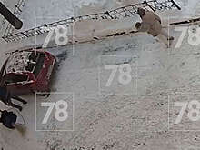 В Петербурге два соседа избили пожилую женщину после замечания о выгуле собак