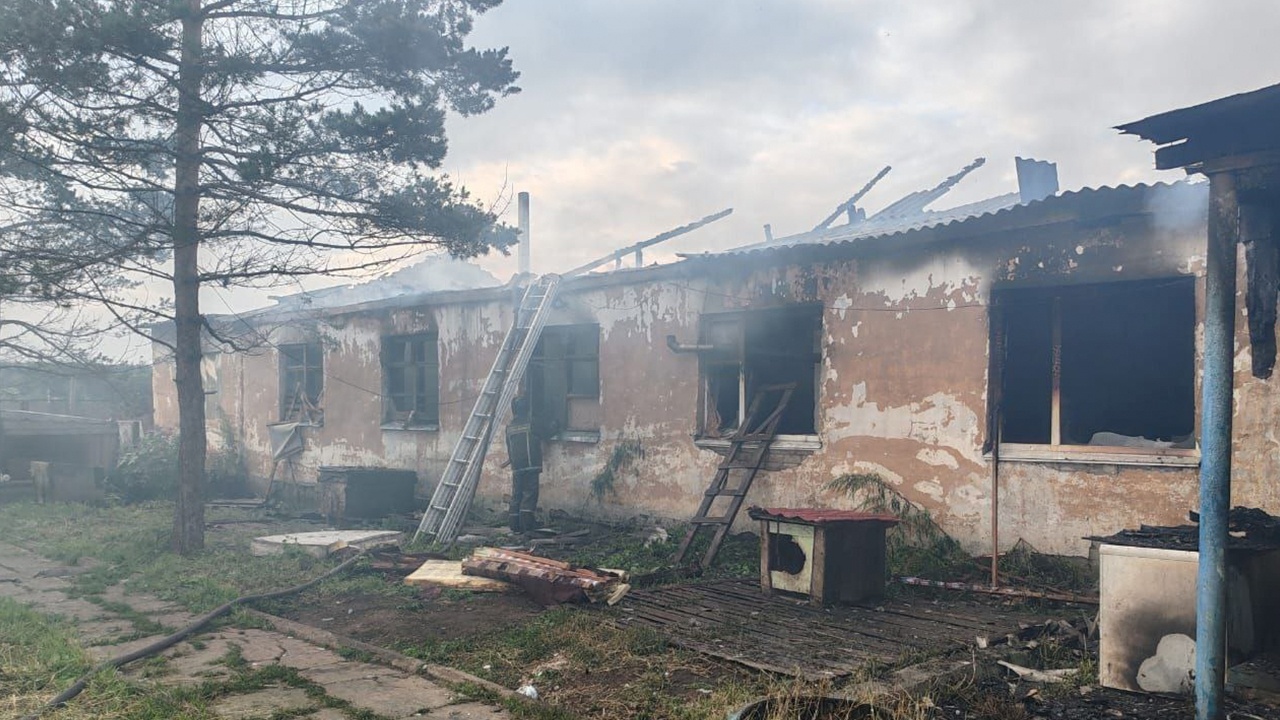 В Хабаровском крае сгорели свыше 60 питомцев в приюте для животных