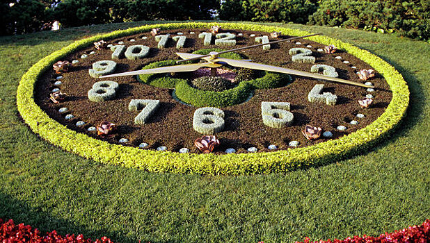 На Поклонной горе запустят цветочные часы