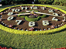 На Поклонной горе запустят цветочные часы