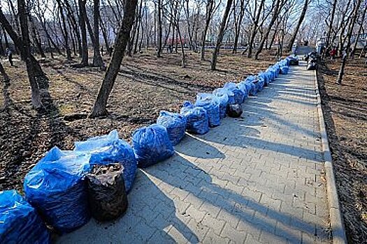 С 1 апреля в Хабаровске начался двухмесячный период санитарной очистки