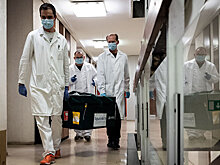 В Японии отреагировали на начало вакцинации в РФ