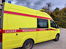 Дрон ВСУ вновь атаковал гражданский автомобиль в Брянской области