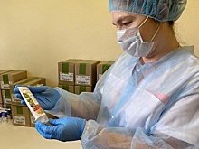 Клиники Востоного Дегунина получили помощь в рамках акции «Солидарность сильнее заразы!»