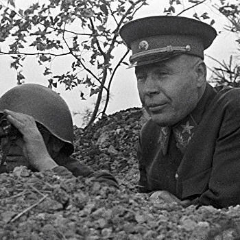 Тимошенко: уничтожение «Южной Украины»