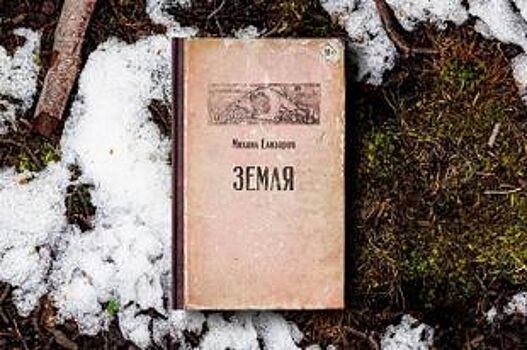 «Все там будем». Зачем читать новый роман Михаила Елизарова «Земля»?